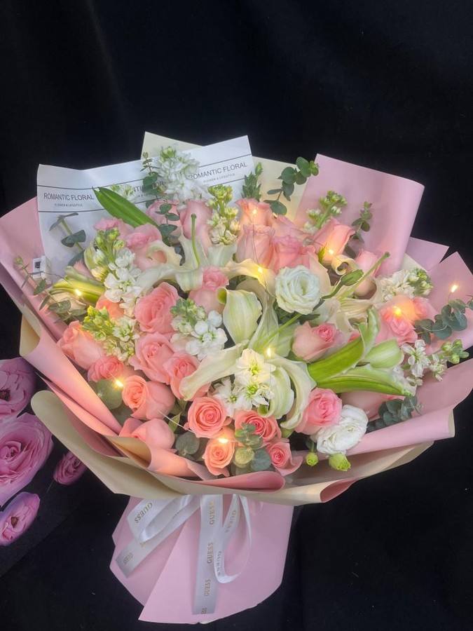 ��ݸ����������