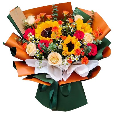 ��ݸ����������